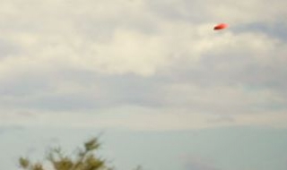  Spot the Flying Disk 